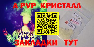 спиды Дубна