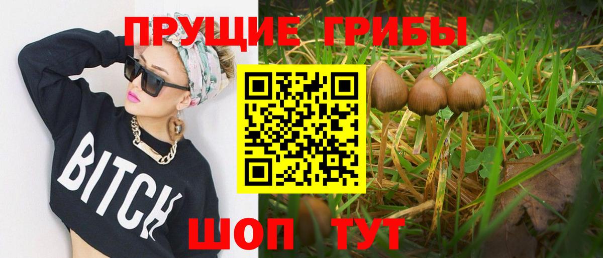 Галлюциногенные грибы GOLDEN TEACHER  Галлюциногенные грибы Psilocybine cubensis  купить закладку  Удомля  Вход с VPN 